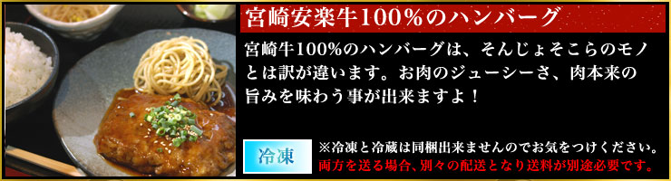 宮崎牛のハンバーグ
