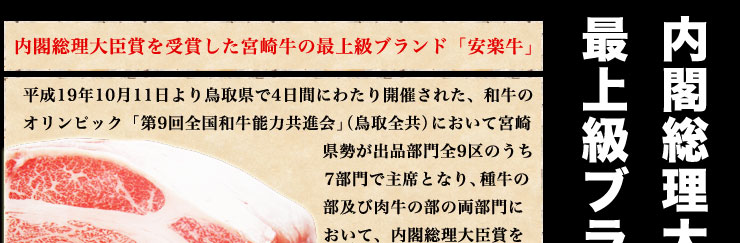 オープニングイメージ