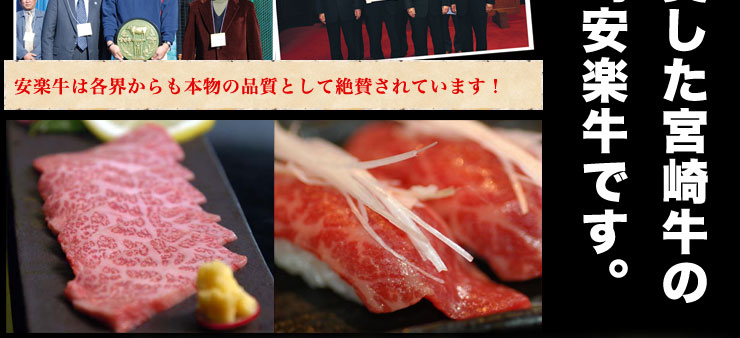 オープニングイメージ