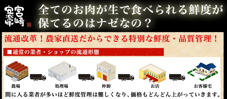 オープニングイメージ