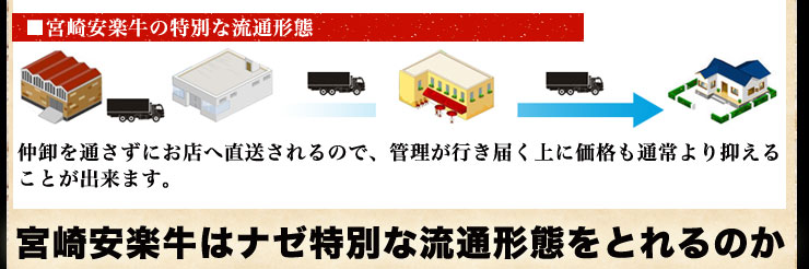 オープニングイメージ